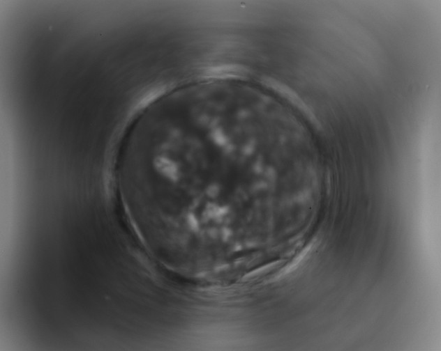 X0000091931405200709261906