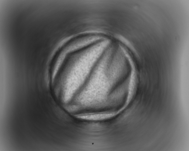 X0000091931408200709261906