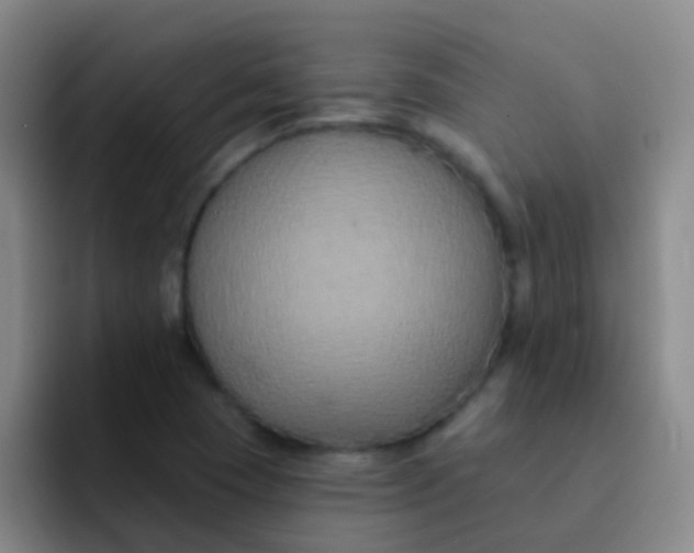 X0000091931409200709261906