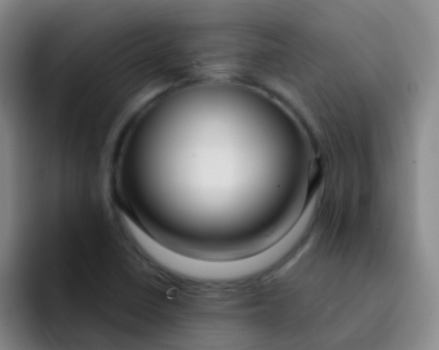 X0000091931410200709261906