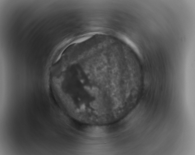 X0000091931411200709261906