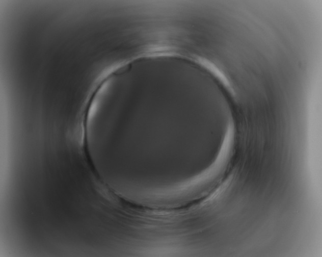 X0000091931413200709261906