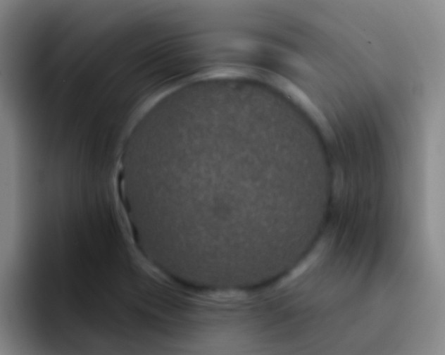 X0000091931417200709261906