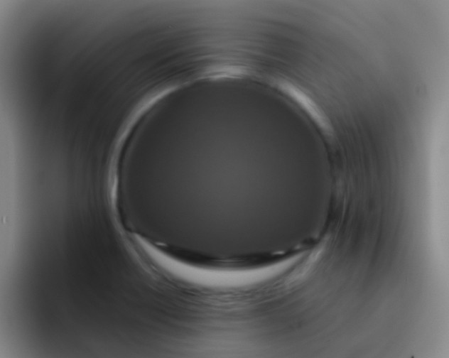 X0000091931418200709261906
