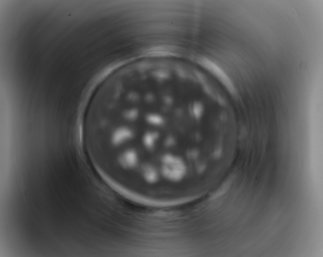 X0000091931419200709261906