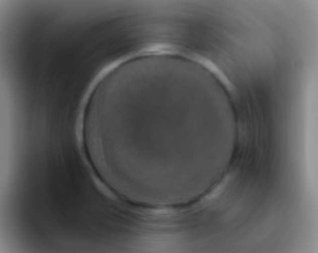 X0000091931421200709261906