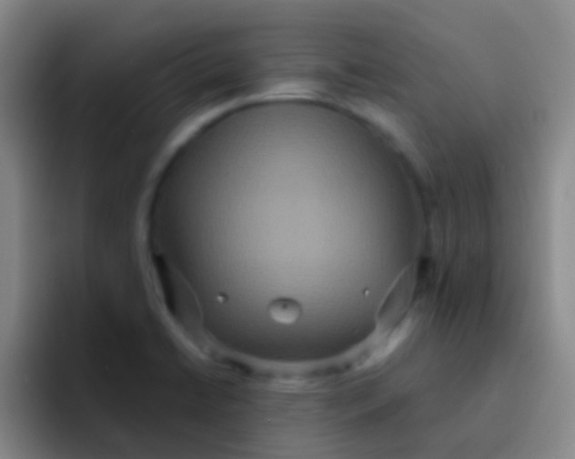 X0000091931422200709261906