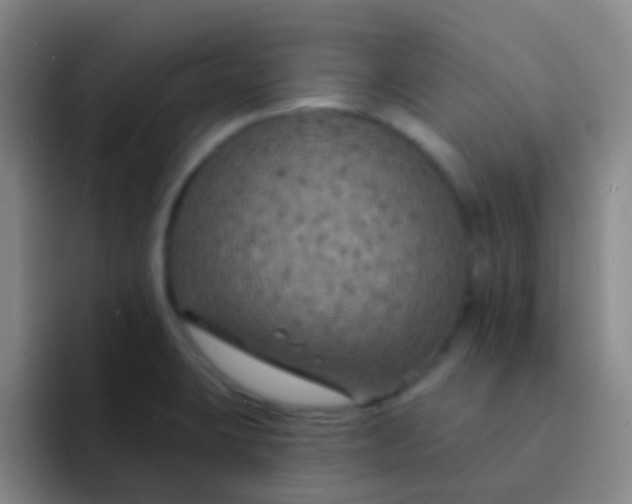 X0000091931423200709261906