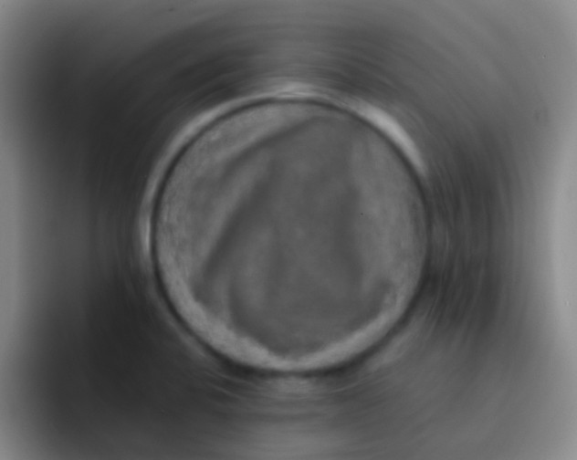 X0000091931424200709261906