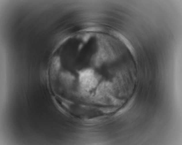 X0000091931425200709261906