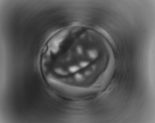 X0000091931427200709261906