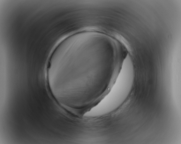 X0000091931428200709261906