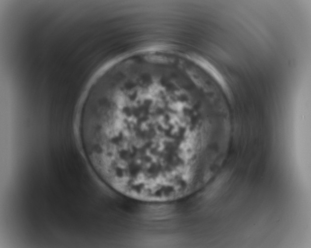 X0000091931429200709261906
