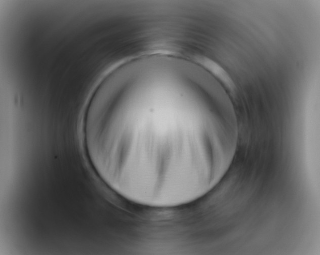 X0000091931431200709261906