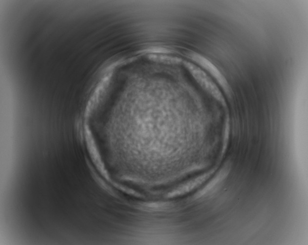 X0000091931433200709261906