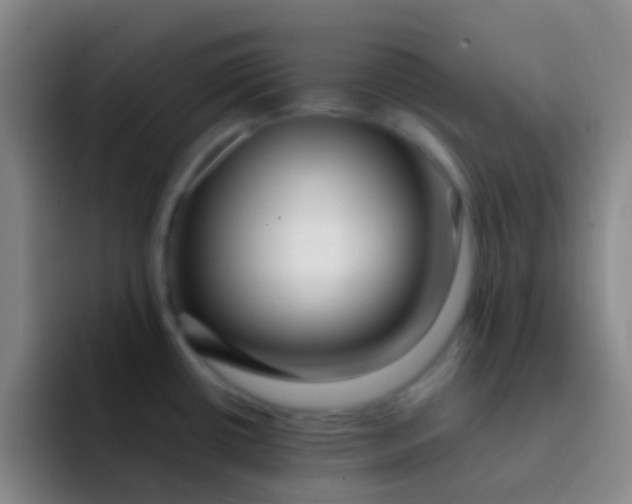 X0000091931434200709261906