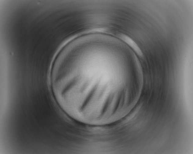 X0000091931436200709261906