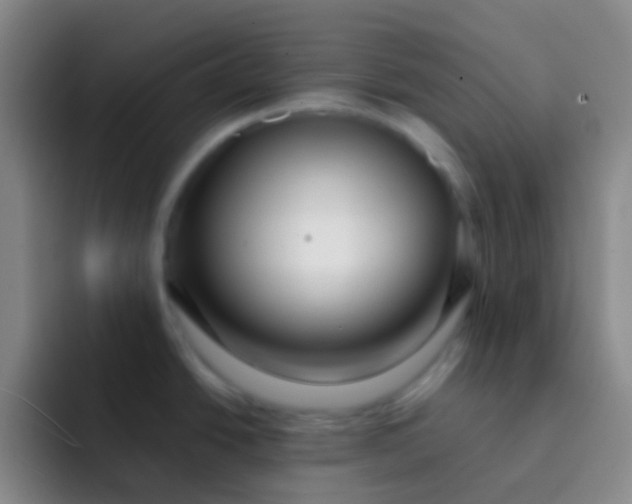 X0000091931438200709261906