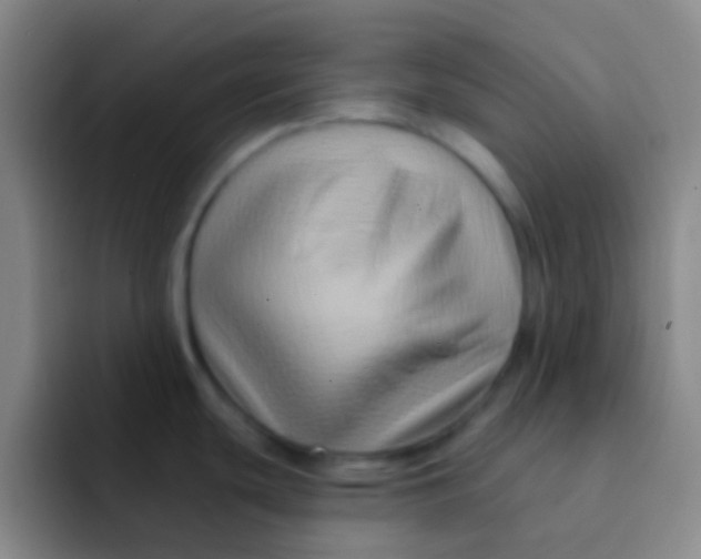X0000091931439200709261906
