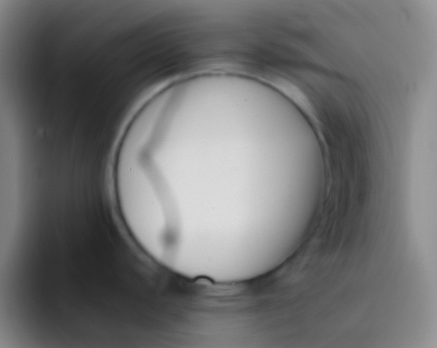 X0000091931440200709261906