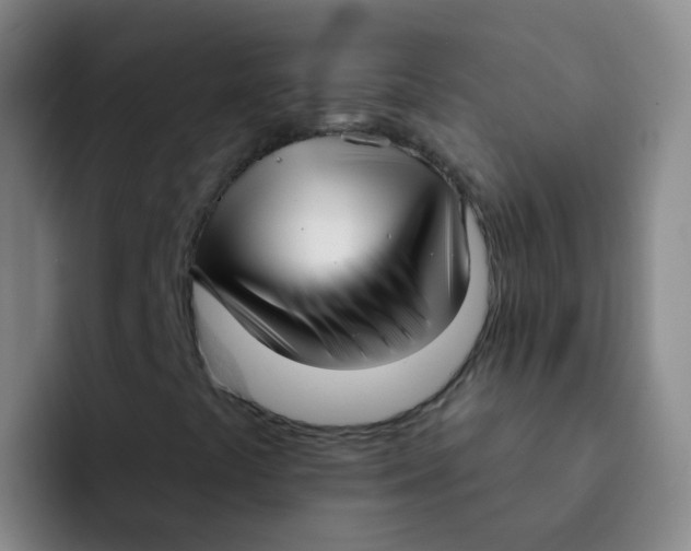 X0000091931441200709261905