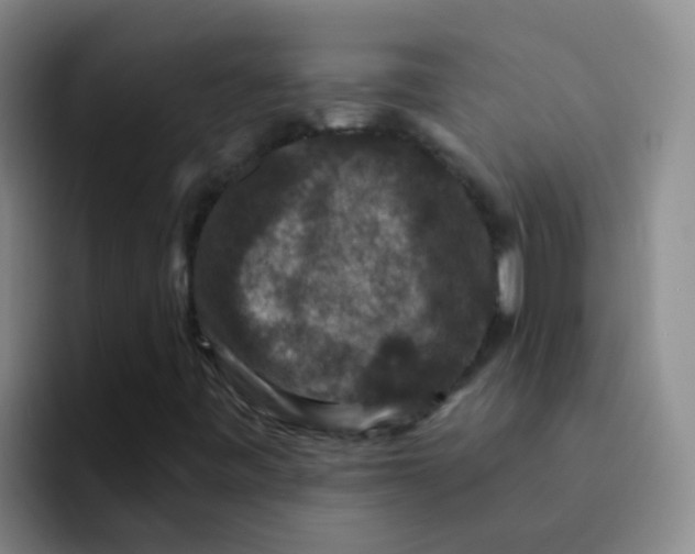 X0000091931443200709261905