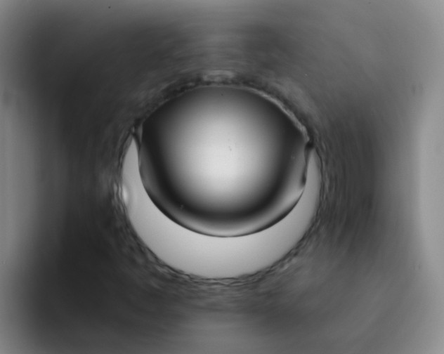 X0000091931445200709261905