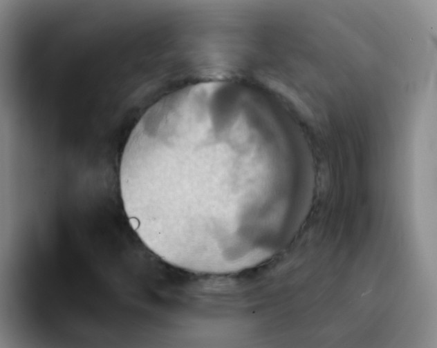X0000091931446200709261905
