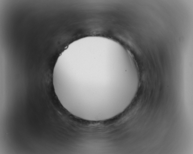 X0000091931447200709261905