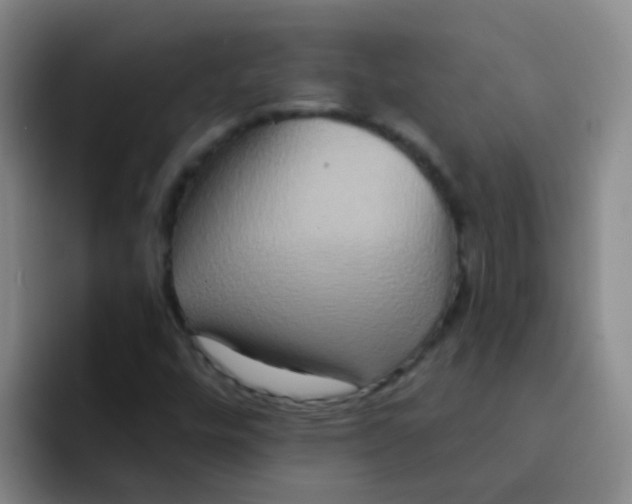 X0000091931448200709261905