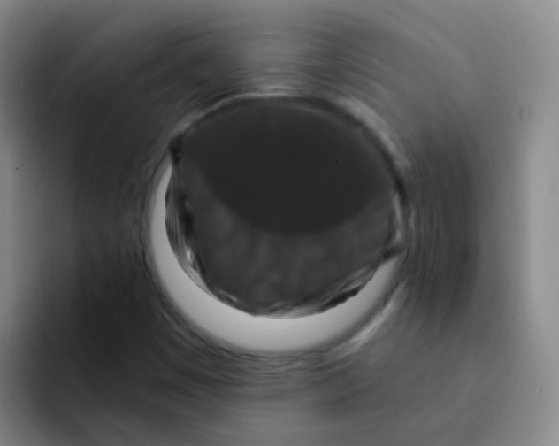 X0000091931449200709261905