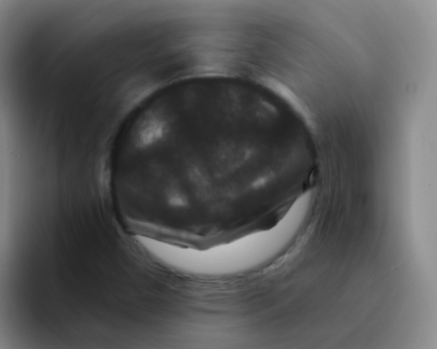 X0000091931450200709261905
