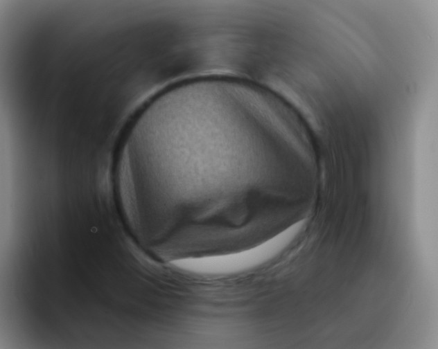 X0000091931452200709261905