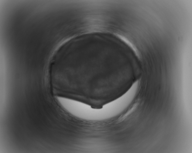 X0000091931453200709261905