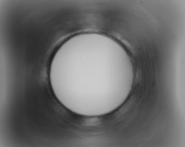 X0000091931454200709261905