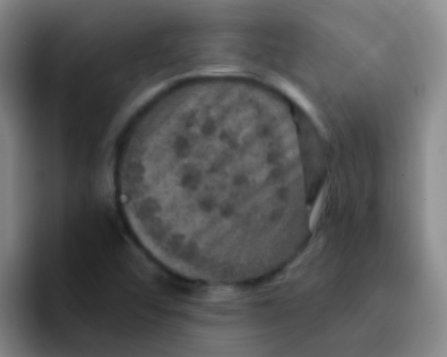 X0000091931456200709261905