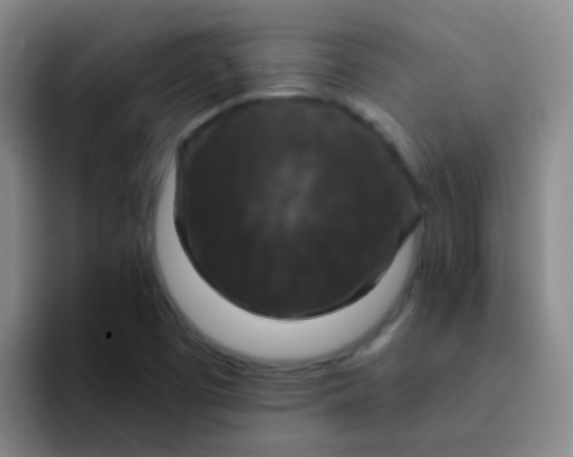 X0000091931457200709261905