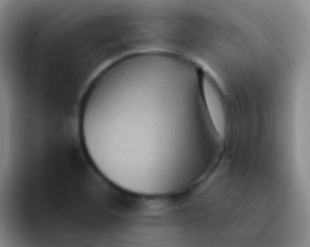 X0000091931460200709261905