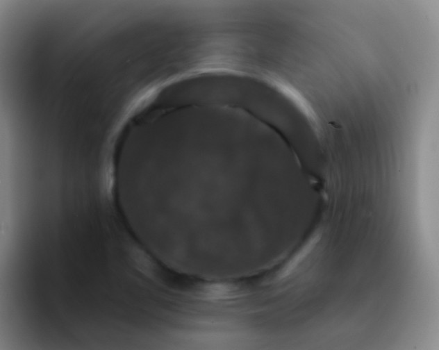 X0000091931461200709261905