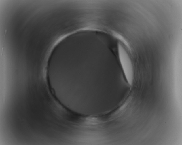 X0000091931463200709261905