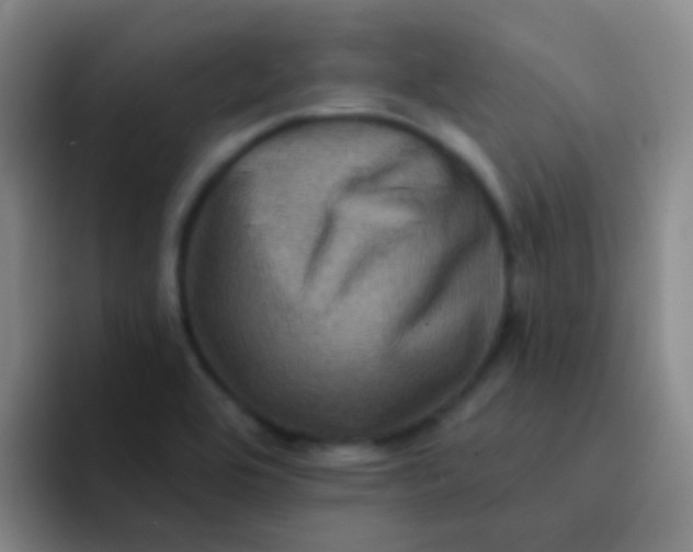 X0000091931464200709261905