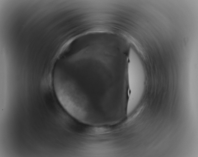 X0000091931465200709261905
