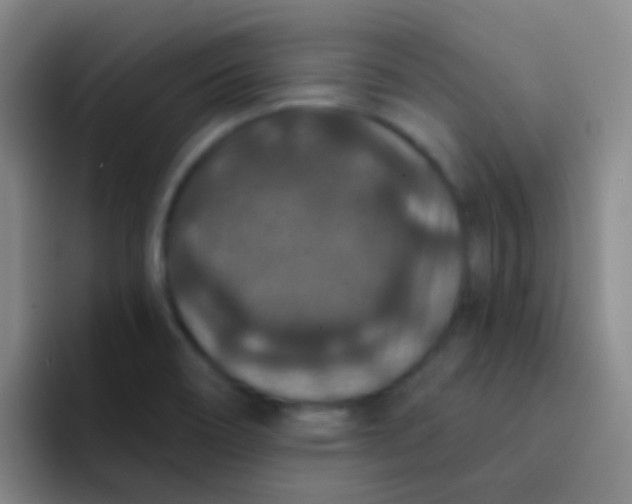 X0000091931466200709261905