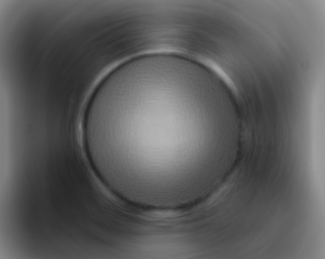 X0000091931468200709261905