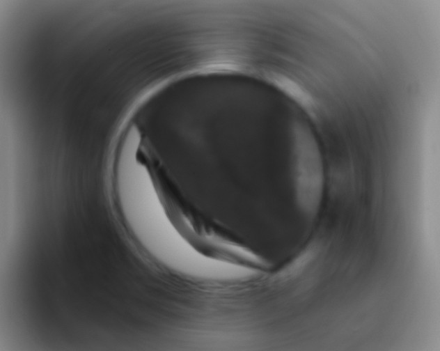X0000091931469200709261905