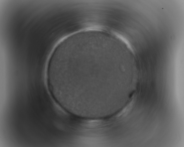 X0000091931471200709261905