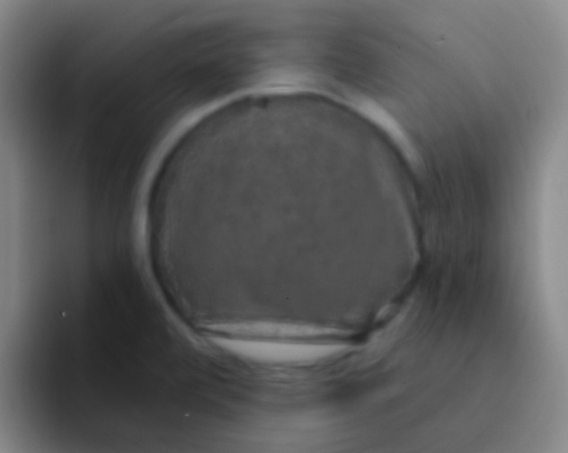 X0000091931472200709261905