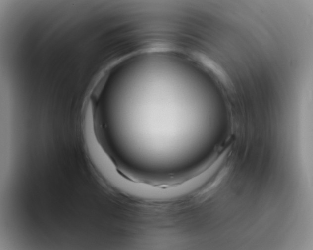 X0000091931473200709261905