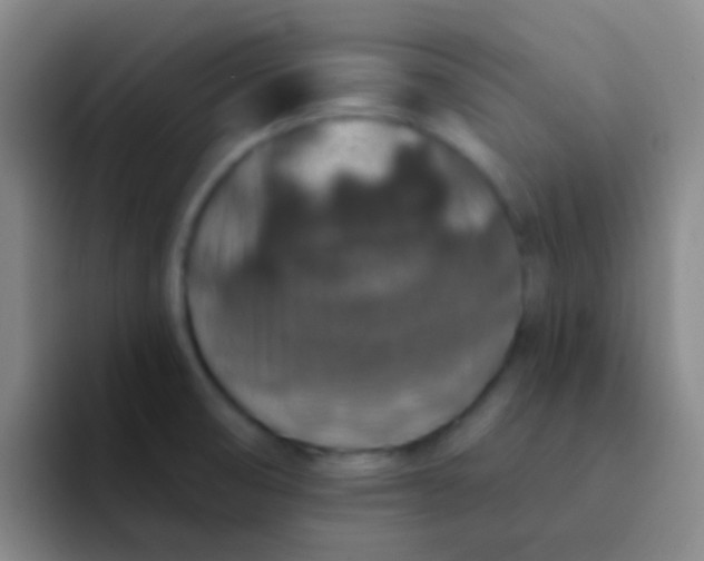 X0000091931474200709261905
