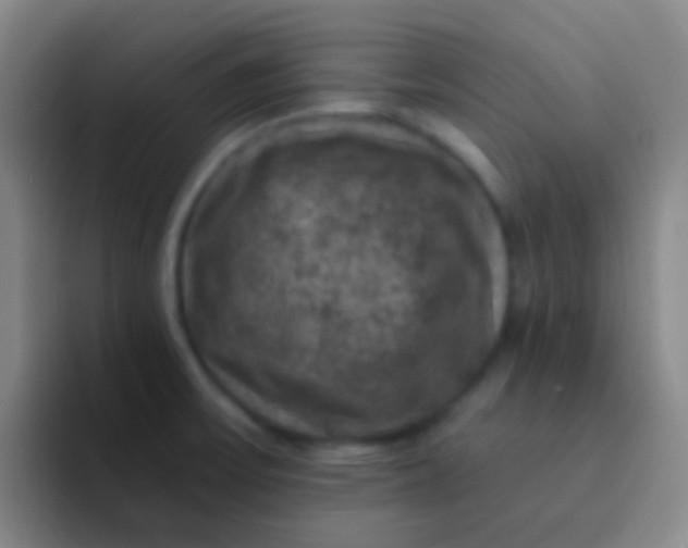 X0000091931475200709261905